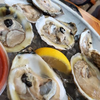 The Cove - New American Near Me - Brigantine, New Jersey