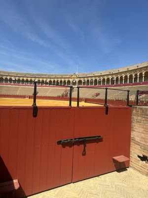 Plaza de Toros de la Real Maestranza de Caballería de Sevilla by null
