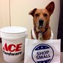 Cape Ace Hardware