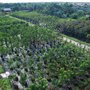 Photo of Getting Green Plant Service