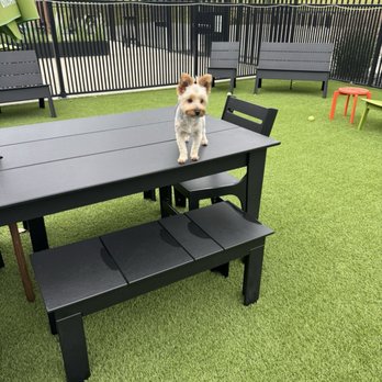 Paws and Pints - Dog Parks Near Me - Des Moines, Iowa