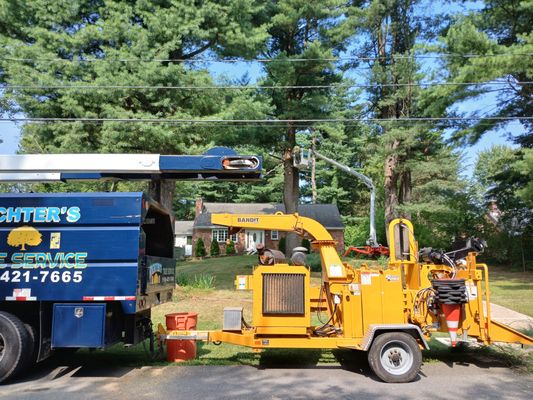 Your Certified Professional Arborist and Tree Service - At Richter’s Tree Service, we offer more than just basic tree removal—we provide complete, professional tree care solutions tailored to your property’s unique needs. With over 20 years of experience in the Albany area, our skilled crew understands the importance of maintaining safe, healthy, and visually appealing landscapes. Your Certified Professional Arborist and Tree Service - At Richter’s Tree Service, we offer more than just basic tree removal—we provide complete, professional tree care solutions tailored to your property’s unique needs. With over 20 years of experience in the Albany area, our skilled crew understands the importance of maintaining safe, healthy, and visually appealing landscapes.