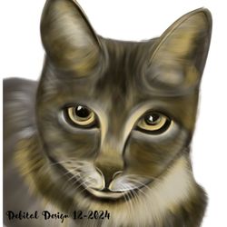Debital Design - I drew this cat for Christina at work put it on a pillow