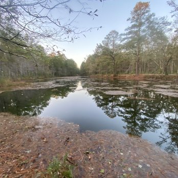Lumber River State Park Chaulk - Parks Near Me - Wagram, North Carolina Lumber River State Park Chaulk - Parks Near Me - Wagram, North Carolina