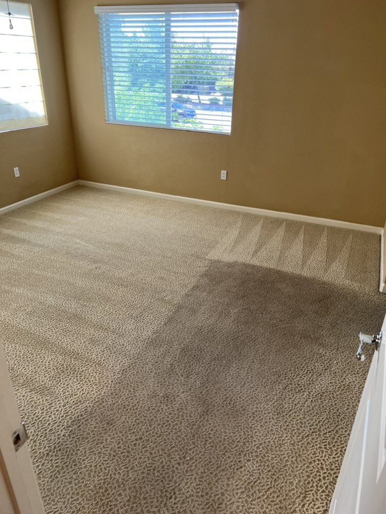 SPEEDEE’S CARPET CLEANING 120 Photos & 99 Reviews 106 N Sunrise Ave