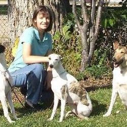 Front Range K9 Academy