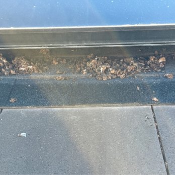 Harris Solar Panel Cleaning and Bird Proofing - Solar Panel Cleaning Near Me