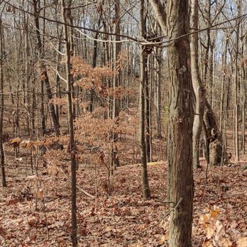 Big Rock Nature Preserve - Parks Near Me - Charlotte, North Carolina