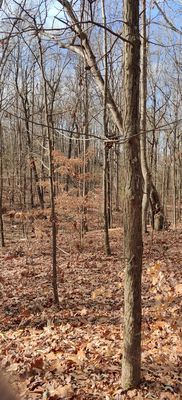 Big Rock Nature Preserve by null