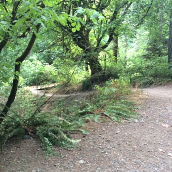 Sequalitchew Creek Trail - Better view of that trail head - Hiking Near Me - Dupont, Washington Sequalitchew Creek Trail - Better view of that trail head - Hiking Near Me - Dupont, Washington