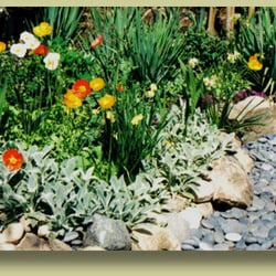 St Francis Landscape