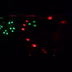 The Globe - Lights on the main floor