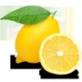 Photo of The Lemon Law Office of Jacob K  Kashani
