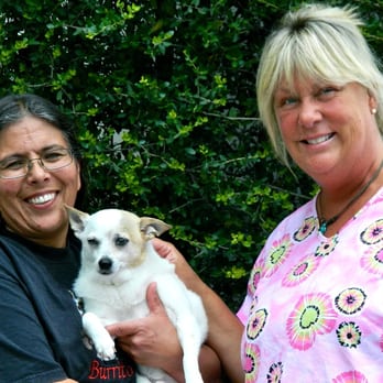 Buttercup Veterinary Hospital - Our very talented groomers! - Veterinarians Near Me - Cedar Park, Texas Buttercup Veterinary Hospital - Our very talented groomers! - Veterinarians Near Me - Cedar Park, Texas