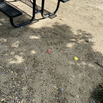 Hedgehog Park - Left over trash from recent outings? - Playgrounds Near Me - Salem, New Hampshire Hedgehog Park - Left over trash from recent outings? - Playgrounds Near Me - Salem, New Hampshire
