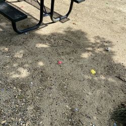Hedgehog Park - Left over trash from recent outings?