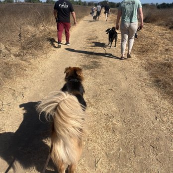 CANIS - Behavior and Training - Alumni Class Hike - Pet Training Near Me - Tarzana, California CANIS - Behavior and Training - Alumni Class Hike - Pet Training Near Me - Tarzana, California