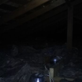 Attic Pros - After photo - Pest Control Near Me - Oakland, California