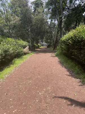 Viveros de Coyoacán by null