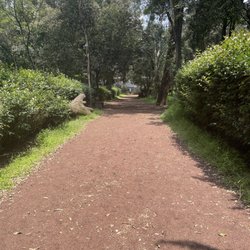 Viveros de Coyoacán