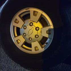 D&B services