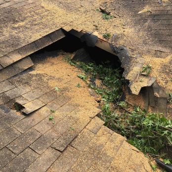 Texas Cowboy’s Tree Service - Tree Services Near Me - Dickinson, Texas Texas Cowboy’s Tree Service - Tree Services Near Me - Dickinson, Texas