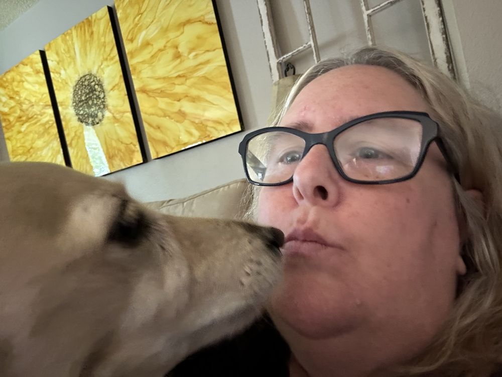 Pooch Palace Retreat Image