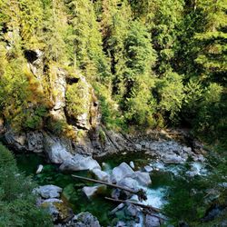 Coquihalla Canyon Provincial Park