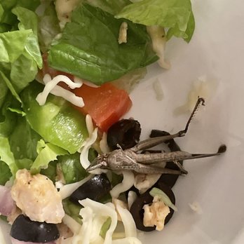 Blackjack Pizza & Salads - a plate of food - Pizza Near Me - Greeley, Colorado