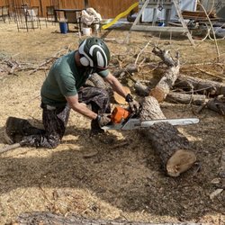 Arbor Care Tree Solutions - Safety First!