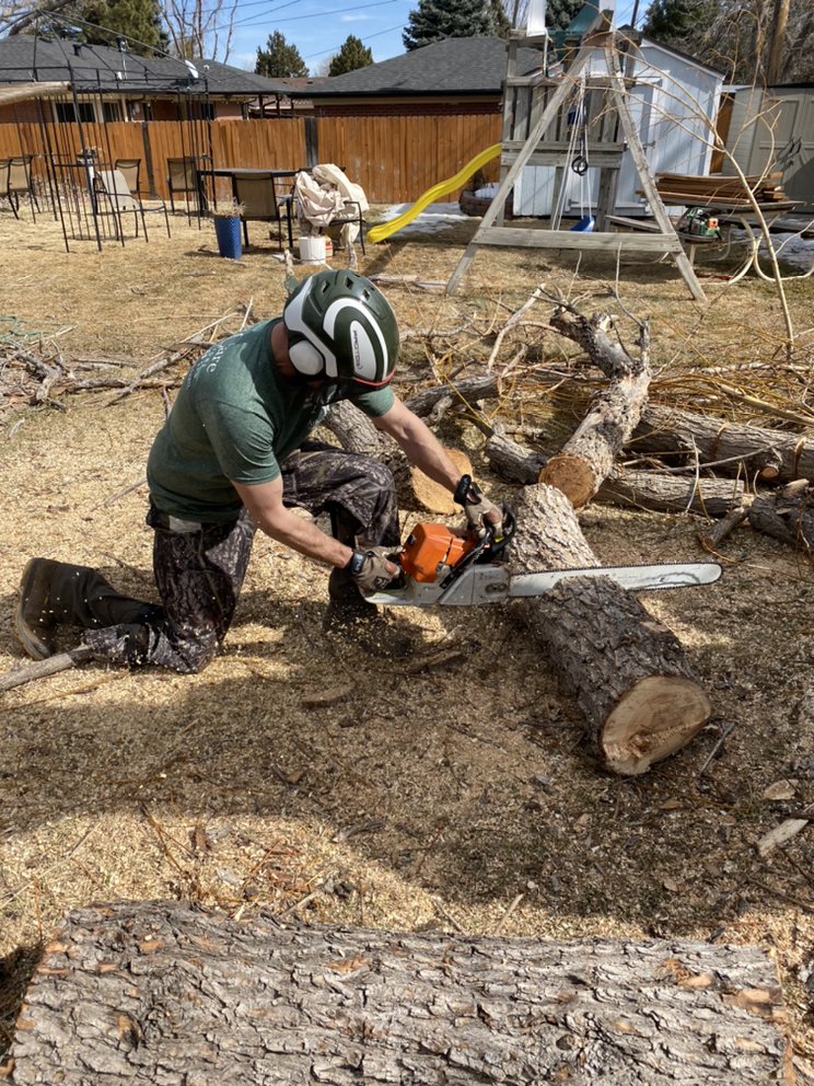 Arbor Care Tree Solutions - tree service in Denver, CO