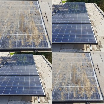 Reflections Solar Cleaning - Bird problems....it's a nasty job so allow us - Solar Panel Cleaning Near Me Reflections Solar Cleaning - Bird problems....it's a nasty job so allow us - Solar Panel Cleaning Near Me