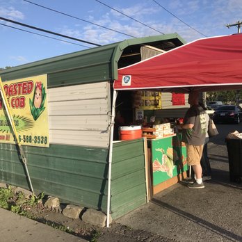 Best Roasted Corn Stand - Food Trucks Near Me - Burien, Washington Best Roasted Corn Stand - Food Trucks Near Me - Burien, Washington