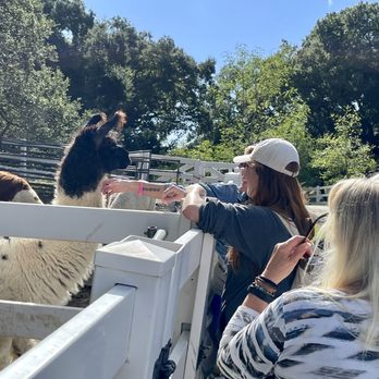 Malibu Wine Hikes - We LOVED the naming conventions for all the animals who live on the farm. Very clever!! - Hiking Near Me - Malibu, California Malibu Wine Hikes - We LOVED the naming conventions for all the animals who live on the farm. Very clever!! - Hiking Near Me - Malibu, California