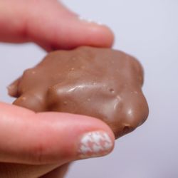 The Candy Jar by 1892 - Delicious milk chocolate crab!