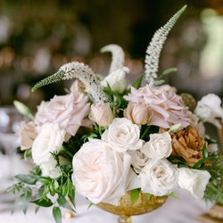 Flower Gallery
