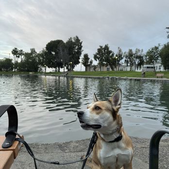Eisenhower Park - Parks Near Me - Orange, California