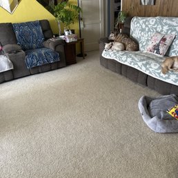 I wish I had a before image from what this rug looked like previously!! These dogs are a menace I wish I had a before image from what this rug looked like previously!! These dogs are a menace