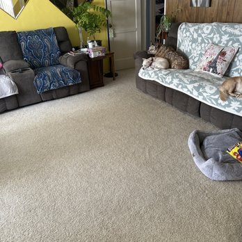 So White Carpet Cleaning - I wish I had a before image from what this rug looked like previously!! These dogs are a menace - Carpet Cleaning Near Me - North Hollywood, California So White Carpet Cleaning - I wish I had a before image from what this rug looked like previously!! These dogs are a menace - Carpet Cleaning Near Me - North Hollywood, California