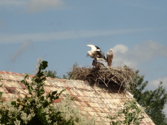 Écomusée d'Alsace by null