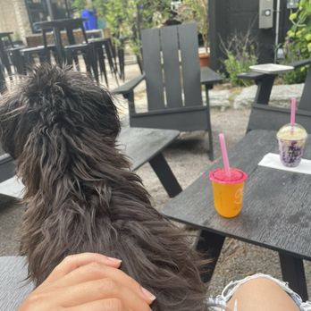 Eat Street Crossing - Dog friendly - Food Court Near Me - Minneapolis, Minnesota