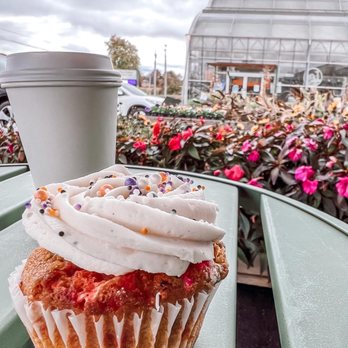 The Bloom Cafe - Cupcake and cinnamon latte - Ice Cream & Frozen Yogurt Near Me - Valencia, Pennsylvania The Bloom Cafe - Cupcake and cinnamon latte - Ice Cream & Frozen Yogurt Near Me - Valencia, Pennsylvania