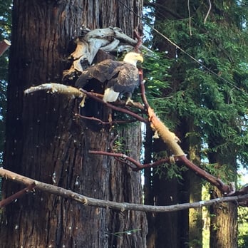Sequoia Park Zoo - Zoos Near Me - Eureka, California Sequoia Park Zoo - Zoos Near Me - Eureka, California