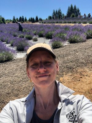Helvetia Lavender Farm and Christmas Tree Farm by null