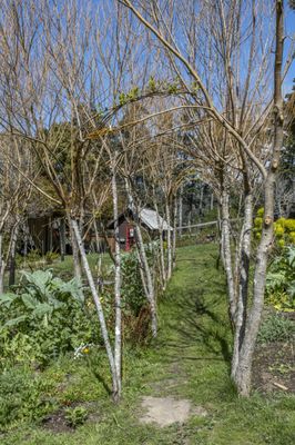 Stanford Inn & Resort on the Mendocino Coast by null