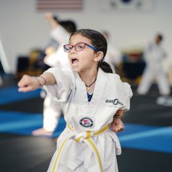 Onekick Martial Arts - TinyTiger class for ages from 4 to 6