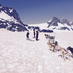 Blue Kennels Dog Sledding - Break time
