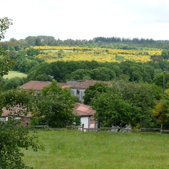 Casa Rectoral de Lestedo - Felder hinter Lestedo - Guest Houses Near Me - Palas de Rei, LU
