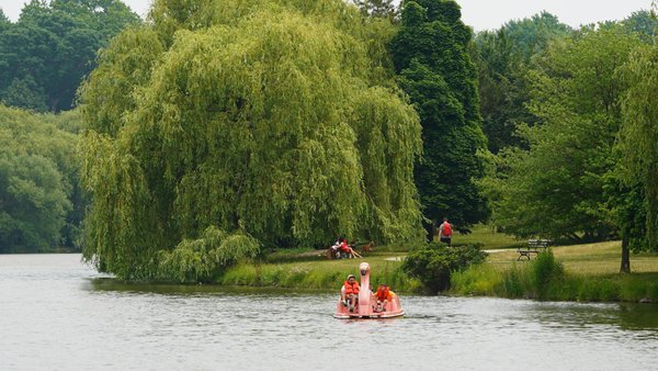 Delaware Park by null