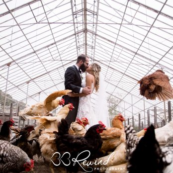 Dos Pueblos Orchid Farm - Venues & Event Spaces Near Me - Goleta, California Dos Pueblos Orchid Farm - Venues & Event Spaces Near Me - Goleta, California